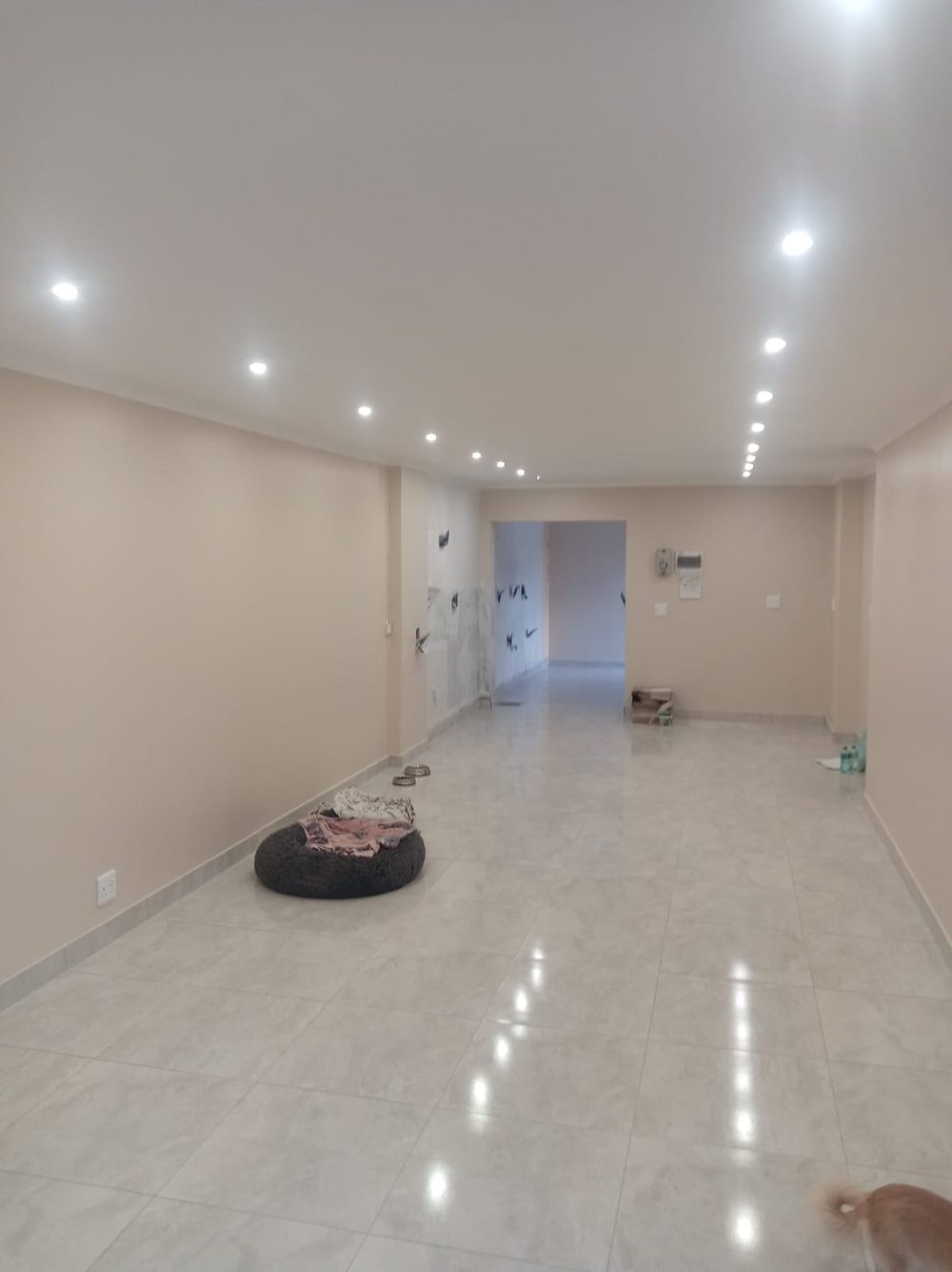 New ceiling with downlights installed
